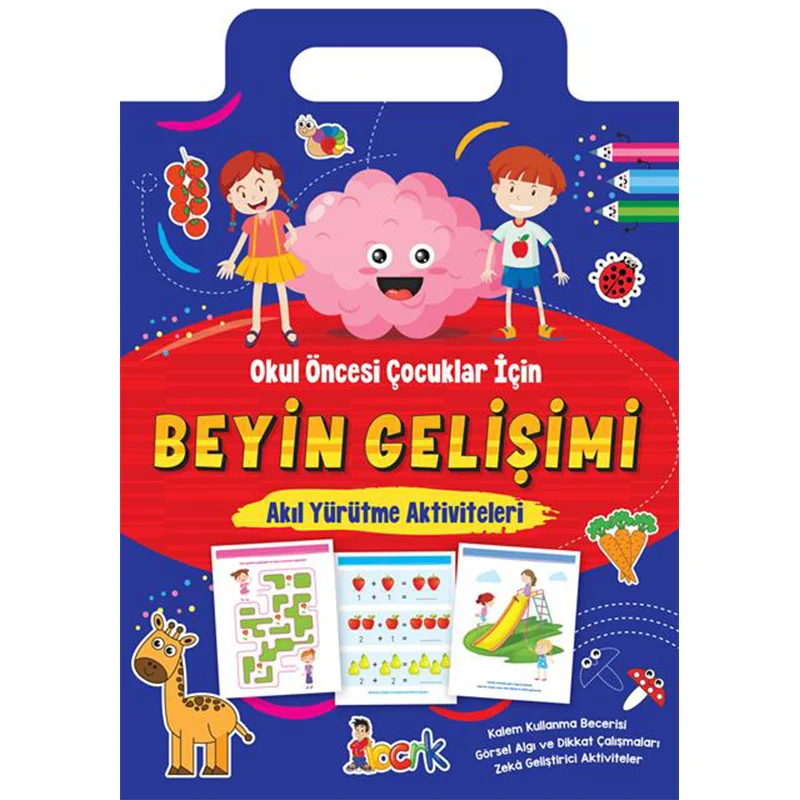 BICIRIK / BEYİN GELİŞİMİ AKIL YÜRÜTME  AKTİVİTELER (Best)
