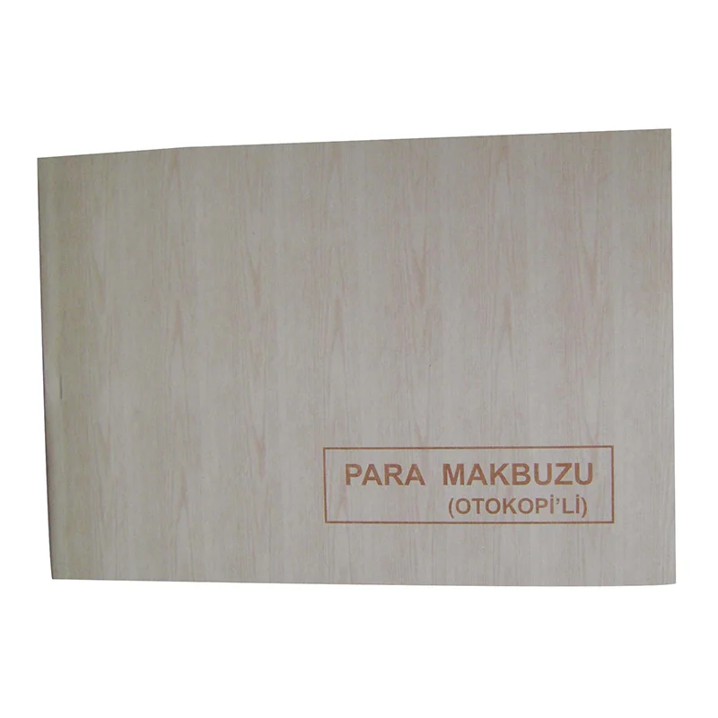 DİLMAN PARA MAKBUZU 2/50 2 N OTOKOPİLİ (Best)
