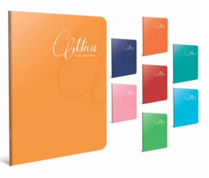 GIPTA MICA A4 60 YP KARELİ PP KAP.DEFTER 1705 (Best)