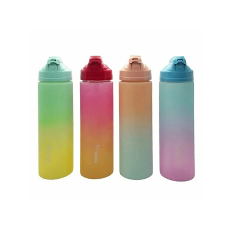 GIPTA PİPETLİ MATARA PCTG 4 RENK MIX 700 ML K7587 (Best)
