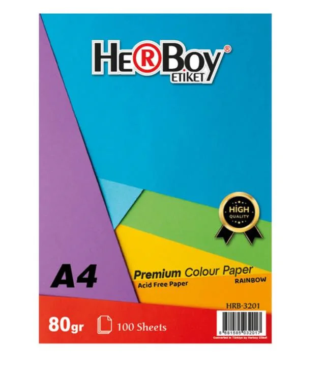 HERBOY A4 FOTOKOPİ KAĞIDI 10 RENK 100 LÜ KARIŞIK HRB-3201 (Best)