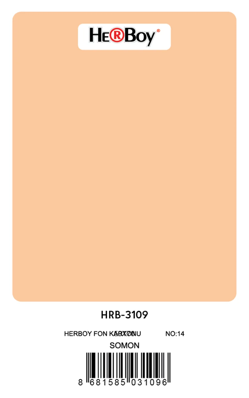 HERBOY FON KARTONU 50x70 SOMON NO:14 160 GR 100 LÜ HRB-3109 (Best)