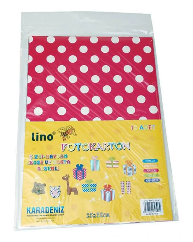LINO 2701J FOTOKARTON DESENLİ 10 LU 24x34 cm (Best)