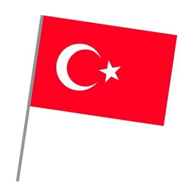 VATAN 20x30 SOPALI BEZ BAYRAK VT225 (Best)