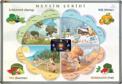 PANDA EĞİTİM MEVSİMLER TABLOSU ALÜMİNYUM ÇERÇEVE 70X100 PAN 512