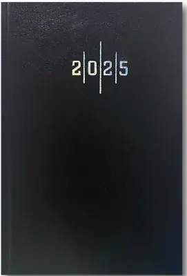 LİZ AJANDA 2026 14X20 EKONOMİK CİLT BEZİ ÇİZGİLİ AJ902E