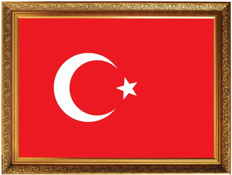 PANDA EĞİTİM ATATÜRK KÖŞESİ YALDIZLI ÇERÇEVELİ BAYRAK 40x60 PAN 643