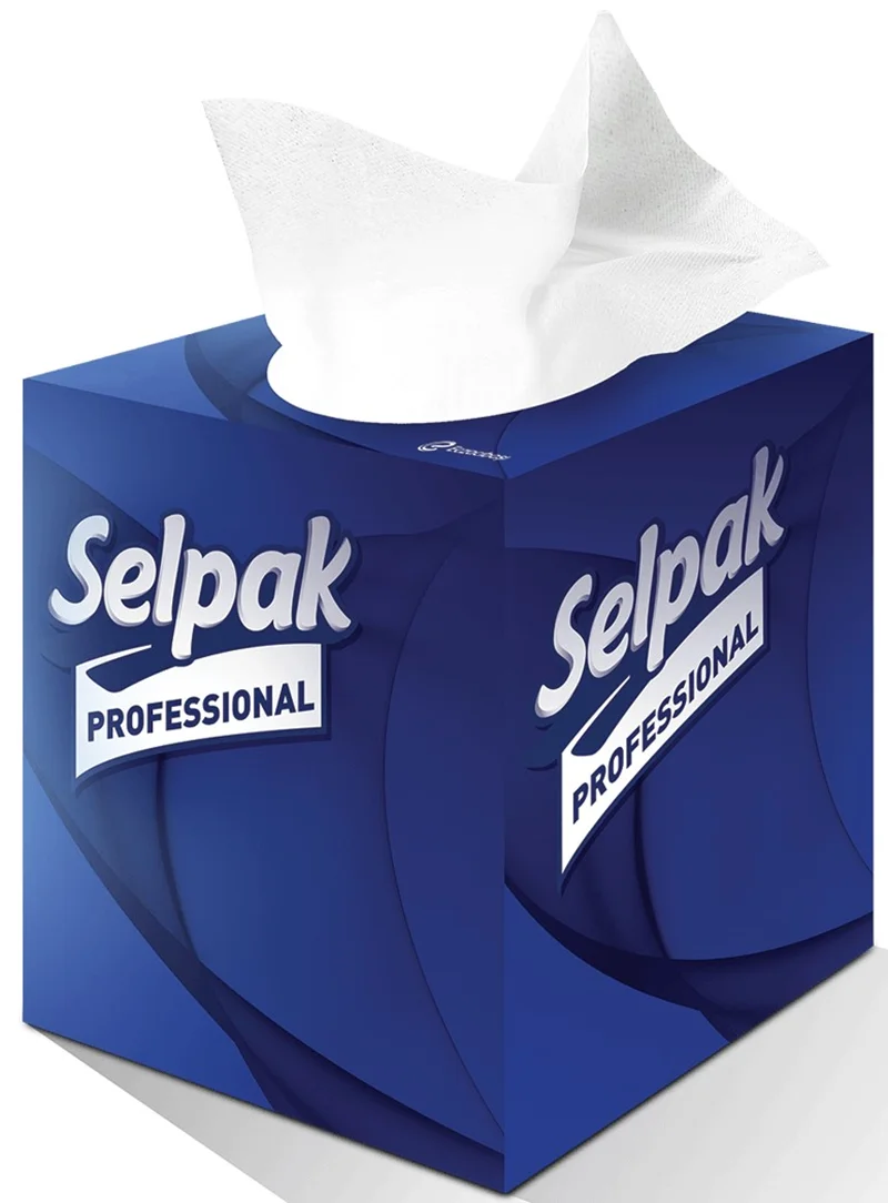 SELPAK KUTU MENDİL BUTİK PREMIUM 48 Lİ 1.54 KG (KOLİ=48 Lİ x 20 PK) 7904750
