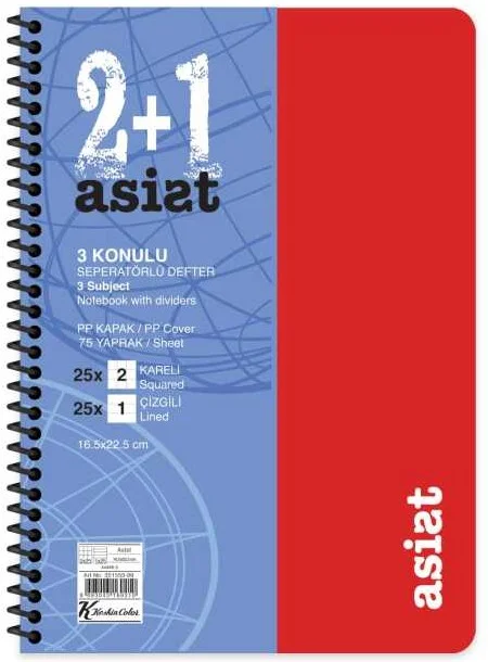 KESKİN DEFTER ASİST 16,5x22,5 PP KAPAK AYRAÇLI 2+1 75 YP. 351553-99