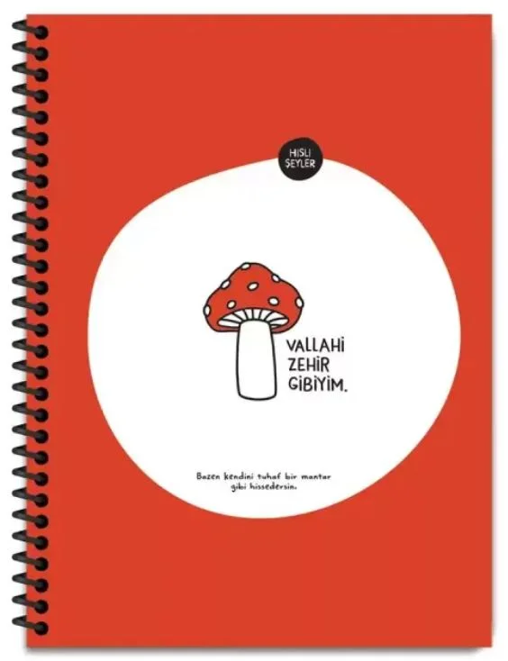 KESKİN DEFTER HİSLİ ŞEYLER ZEHİR GİBİYİM 18,5x25 SPİRALLİ KARTON KAPAK STICKERLİ 80 YP. KARELİ 50062