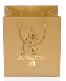 GIPTA KARTON ÇANTA B3 LUZ BG01460