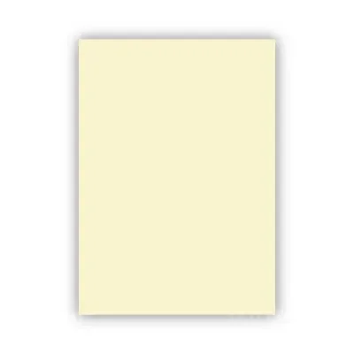 ALEX KOLEJ FON KARTONU 50x70 FİLDİŞİ 160 GR 100 LÜ 1002