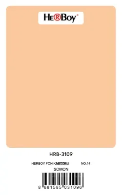 HERBOY FON KARTONU 50x70 SOMON NO:14 160 GR 100 LÜ HRB-3109