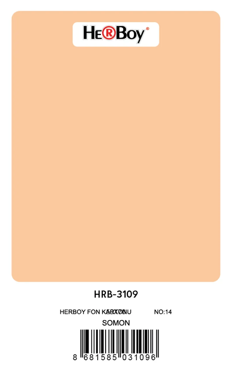 HERBOY FON KARTONU 50x70 SOMON NO:14 160 GR 100 LÜ HRB-3109