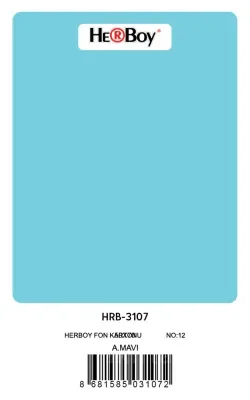 HERBOY FON KARTONU 50x70 AÇIK MAVİ NO:12 160 GR 100 LÜ HRB-3107