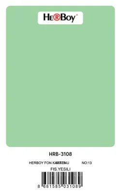 HERBOY FON KARTONU 50x70 FISTIK YEŞİL NO:13 160 GR 100 LÜ HRB-3108