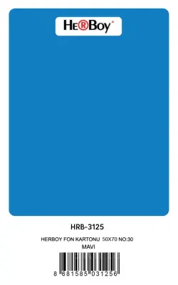 HERBOY FON KARTONU 50x70 KOYU MAVİ NO:30 160 GR 100 LÜ HRB-3125