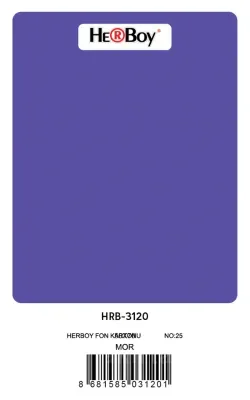 HERBOY FON KARTONU 50x70 MOR NO:25 160 GR 100 LÜ HRB-3120
