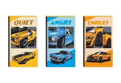 LİLAMOR DEFTER CLASSIC CAR 9X16 48 SYF.60'LI DISPLAY (5 ASS.) LLM-DF0916-CC01