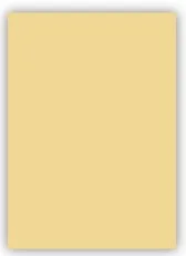 CRAFT AND ARTS FON KARTONU 50x70 160 GR KREM 30010818