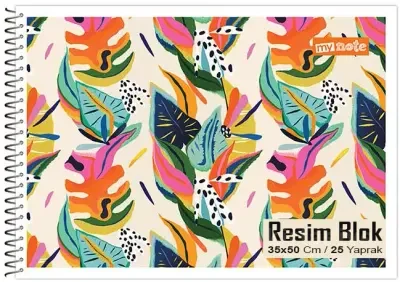 MYNOTE RESİM DEFTERİ KARTON KAPAK SPİRALLİ 35x50 25 YP 2095