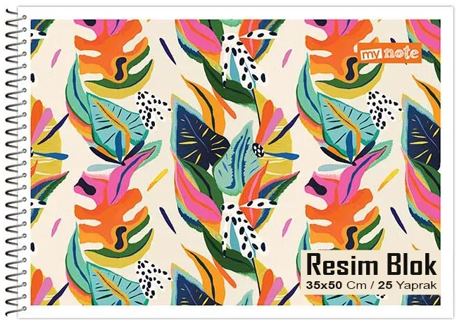 MYNOTE RESİM DEFTERİ KARTON KAPAK SPİRALLİ 35x50 25 YP 2095