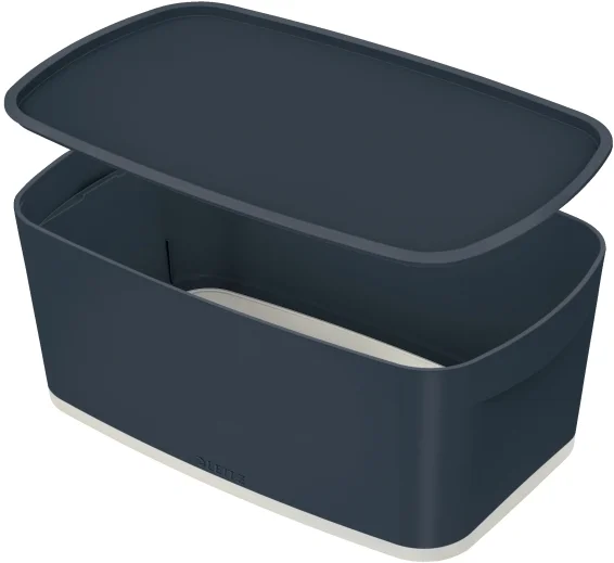 LEITZ SAKLAMA KUTUSU COSY MYBOX KAPAKLI KÜÇÜK  L-5263 GRİ