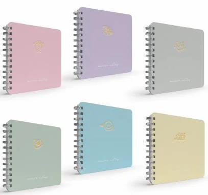 GIPTA DEFTER MICRO NOTES 16x16 SPİRALLİ SERT KAPAK 100 YP. ÇİZGİLİ 5995