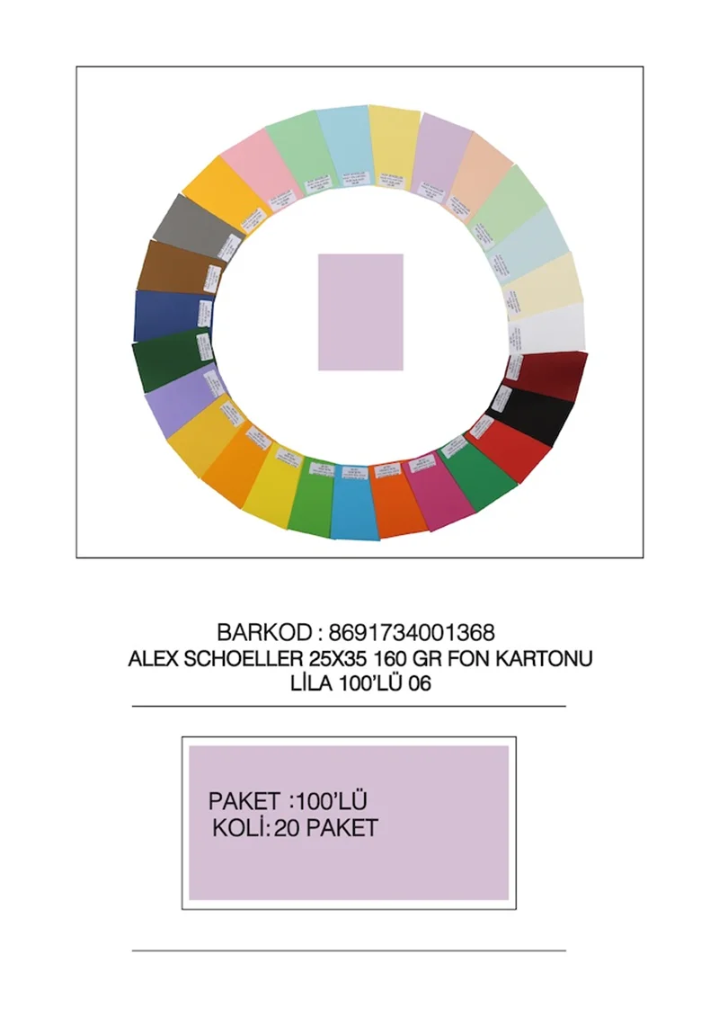 ALEX FON KARTONU 160GR 25X35 LİLA 100 LÜ 06