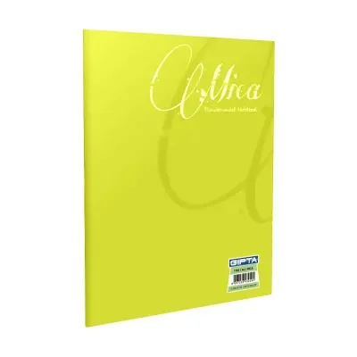 GIPTA 1707 2011 MICA A4 80YP TEL DİKİŞLİ PP KAPAK DEFTER ÇİZGİLİ