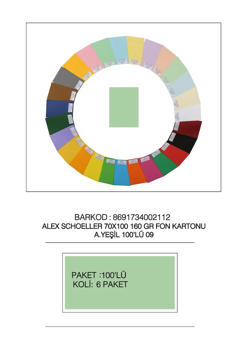 ALEX FON KARTONU 160GR 70X100 AÇIK YEŞİL 100LÜ 09