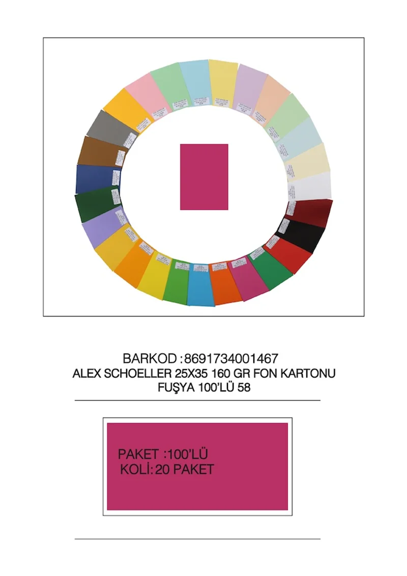 ALEX FON KARTONU 160GR 25X35 FUŞYA 100 LÜ 58