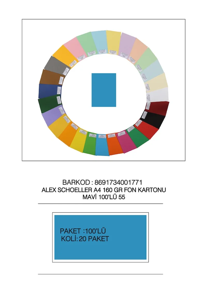 ALEX FON KARTONU 160GR A4 MAVİ 100 LÜ 55