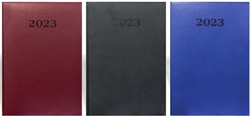 LİZ AJANDA 20x28 GÜNLÜK THERMO AJ732