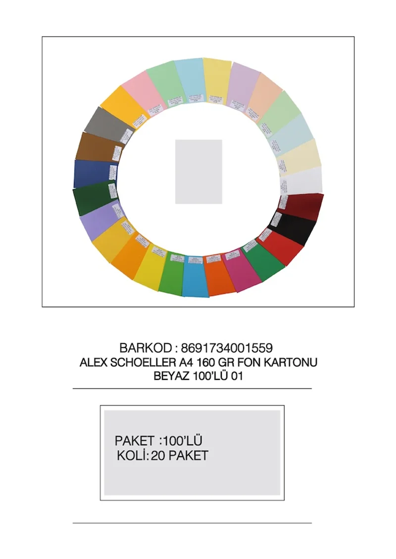 ALEX FON KARTONU 160GR A4 BEYAZ 100 LÜ 01