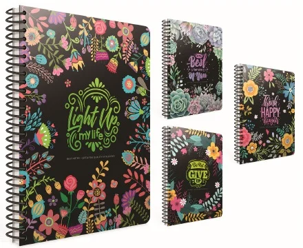 GIPTA DEFTER BEST NOTES 17X24 SPİRALLİ SERT KAPAK 120 YP. ÇİZGİLİ 5083