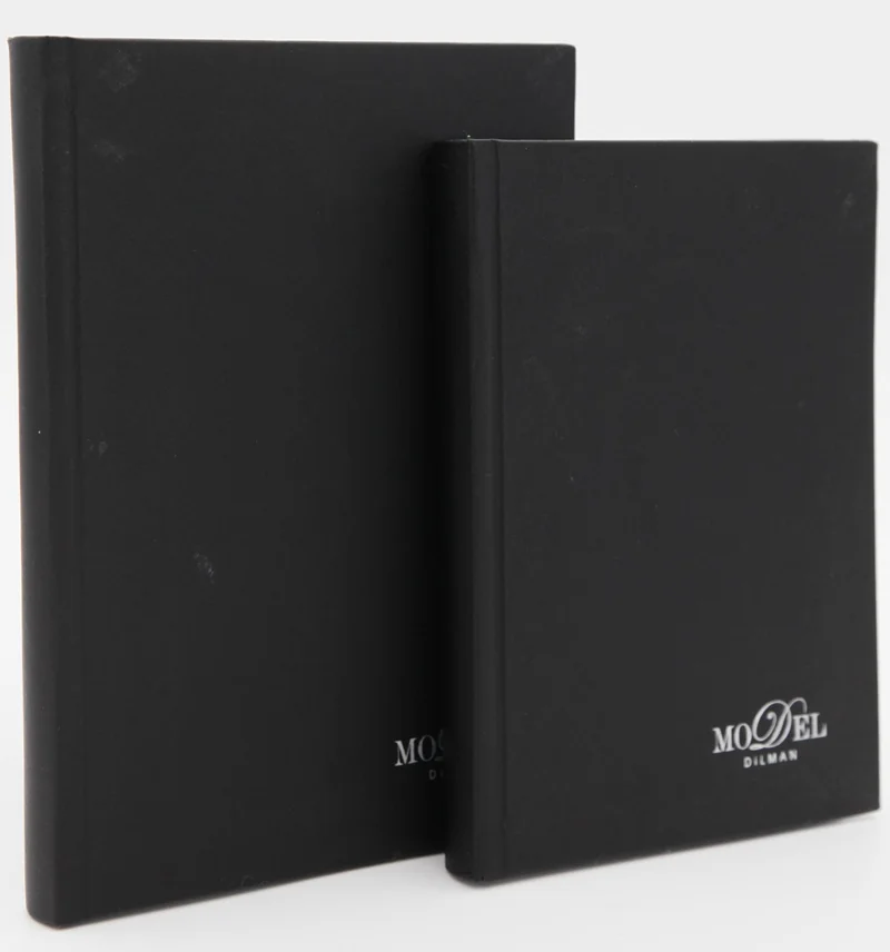 DİLMAN DEFTER MODELİST CİLTLİ SERT KAPAK 17x24 160 YP DÜZ 6013