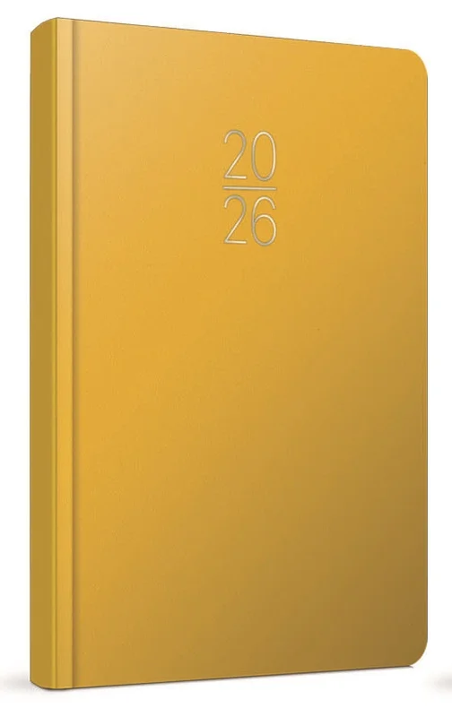 GIPTA AJANDA  GÜNLÜK EKO SUNİ DERİ 17x24 106-ECK