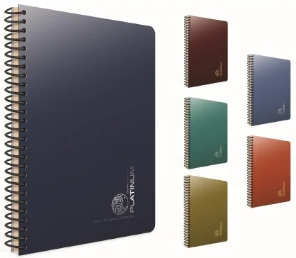 GIPTA DEFTER PLATINUM A4 SPİRALLİ PP KAPAK 100 YP. KARELİ 5689