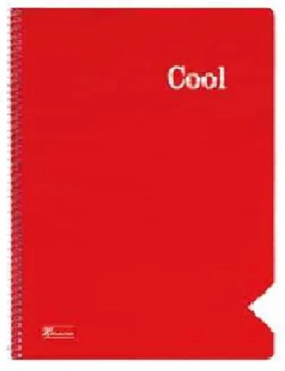 KESKİN DEFTER COOL A6 SPİRALLİ PP KAPAK 80 YP. KARELİ 321682-99