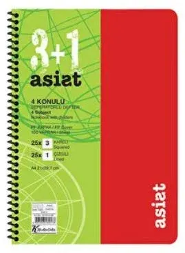 KESKİN DEFTER ASİST A4 PP KAPAK AYRAÇLI 3+1 100 YP. 351513