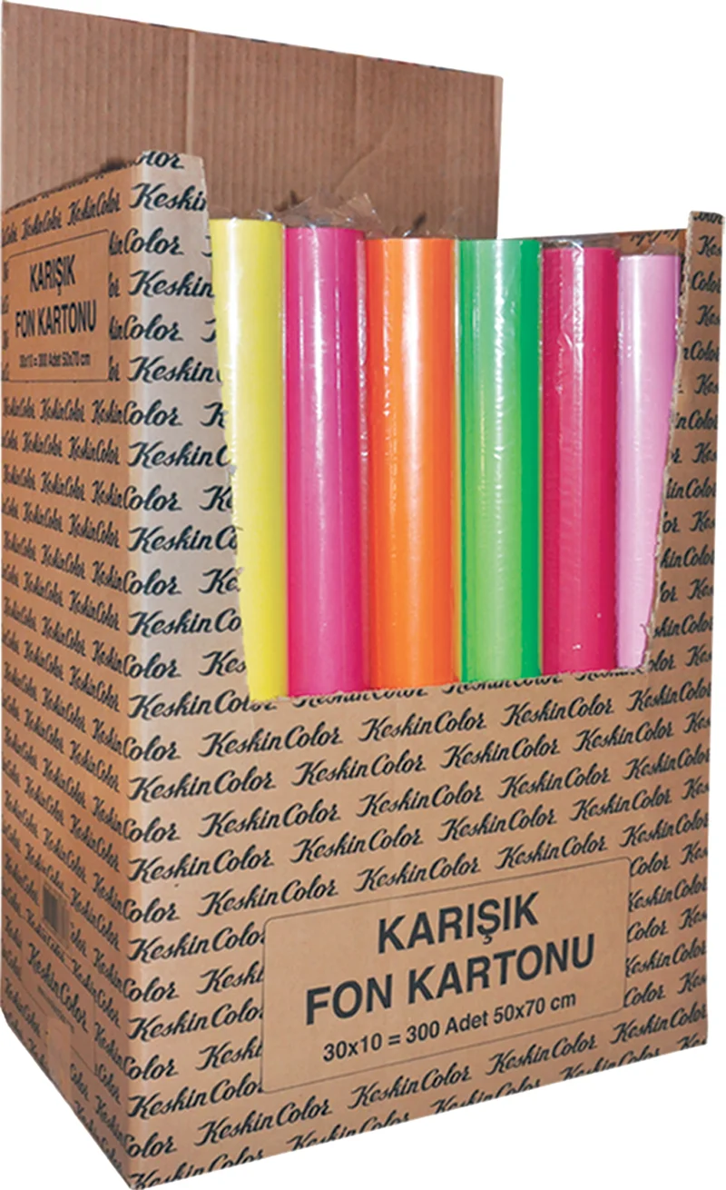 KESKİN FON KARTONU 50X70 110 GR 10 LU RULO STAND 201304-99
