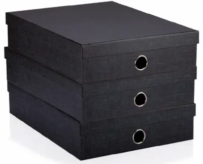 GIPTA DOSYA KUTUSU BLISTA BLACK ORG7396