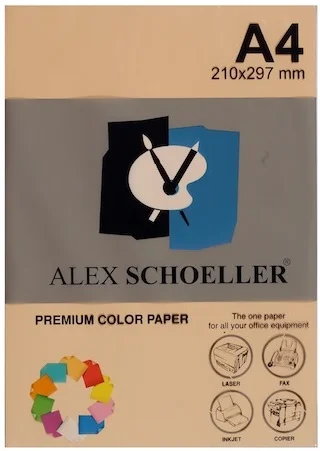 ALEX FOTOKOPİ KAĞIDI A4 SOMON 500 LÜ ALX-550