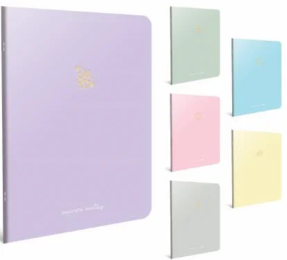 GIPTA DEFTER MICRO NOTES A6 KARTON KAPAK 60 YP. DÜZ 5803