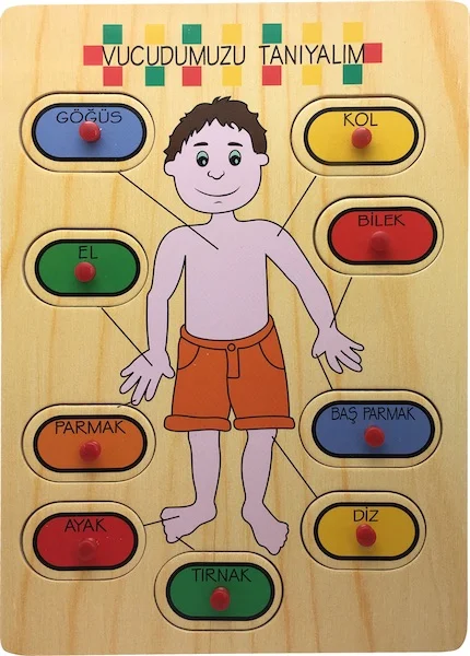 PASİF BU-BU PUZZLE AHŞAP VUCUT PARÇALARI AP0084