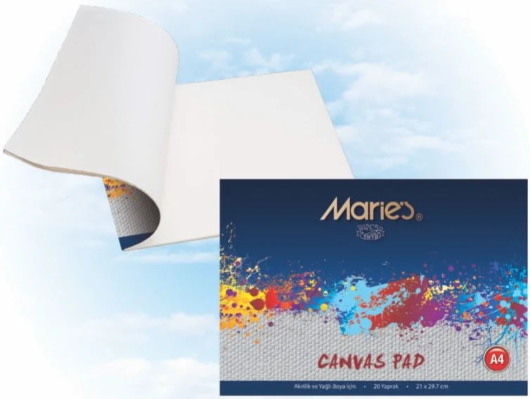 MARIES DEFTER CANVAS 29.7x21 20 YP