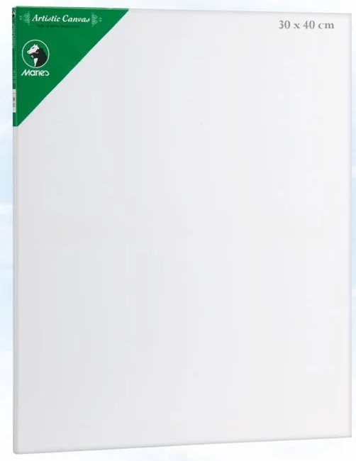 MARIES TUVAL CANVAS E5309 30x40 CM