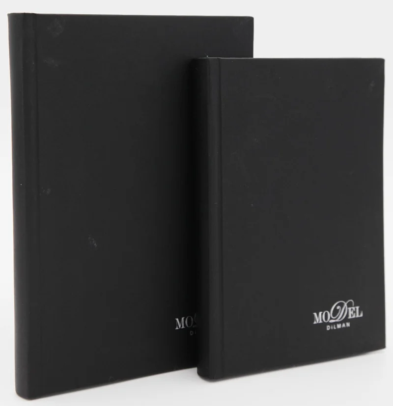 DİLMAN DEFTER MODELİST CİLTLİ SERT KAPAK 17x24 160 YP KARELİ 6015