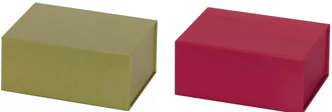 GIPTA KUTU KATLANABİLİR 2 NOLU BLOOM BX09830